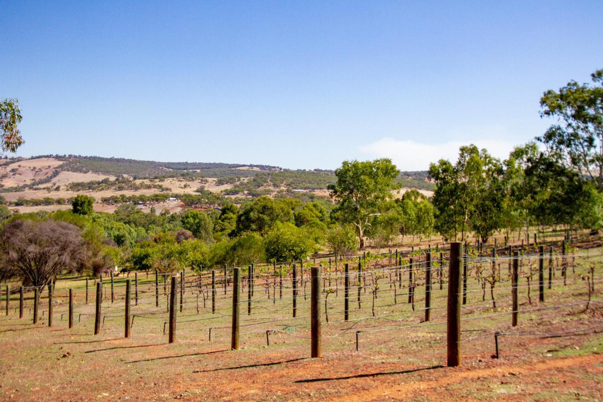 Pecan Hill BNB Toodyay Bagian luar foto