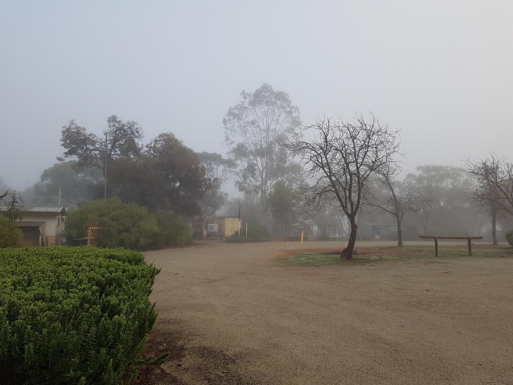 Pecan Hill BNB Toodyay Bagian luar foto